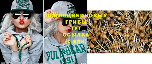 твердый Новодвинск