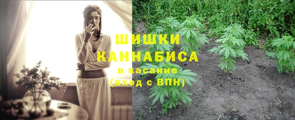 МДПВ Няндома