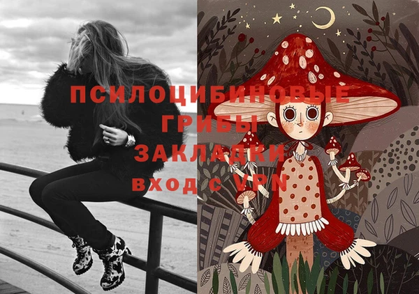 МДПВ Няндома